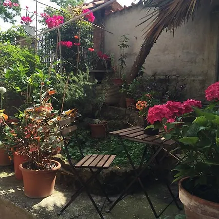 Casa Geg Roma